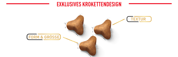royal_canin_adult_norwegian_forest_catexklusives_krokettendesign_web_2.jpg