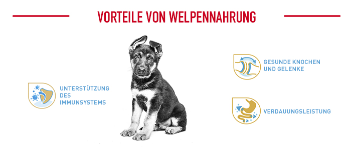 royal_canin_german_shepherd_puppy_vorteile_welpennahrung.jpg
