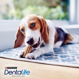 PURINA DENTALIFE Tägliche Zahnpflege-Snacks für kleine Hunde