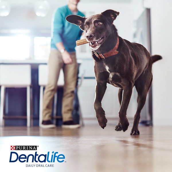 PURINA DENTALIFE Tägliche Zahnpflege-Snacks für große Hunde