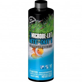 Microbe-Lift Wasserpflege Nite-Out II