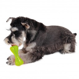 ZooRoyal Hundespielzeug Dental Knochen grün
