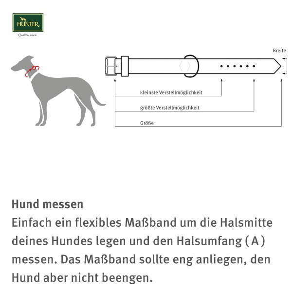 Hunter Halsband Swiss nickel Braun/Schwarz