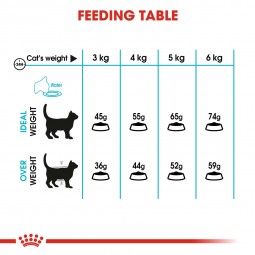 ROYAL CANIN Urinary Care Katzenfutter trocken für gesunde Harnwege