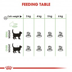 ROYAL CANIN Digestive Care Trockenfutter für Katzen mit empfindlicher Verdauung